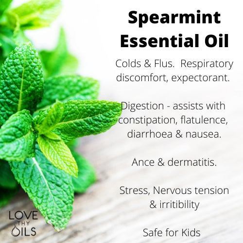 Have you heard about Spearmint?