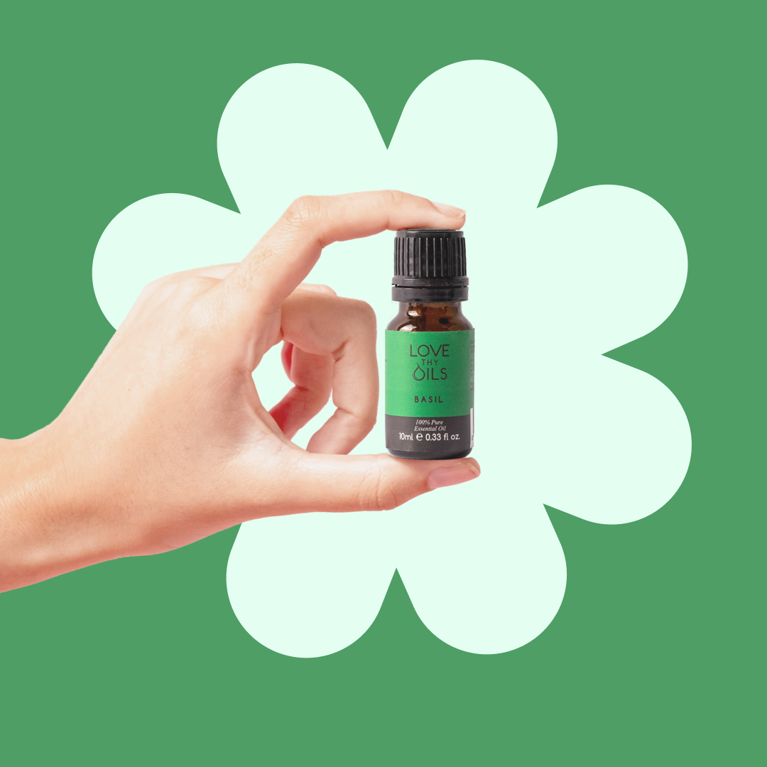 Basil Essential Oil 10ml