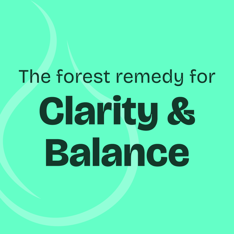 Fir Needle Essential Oil 10ml