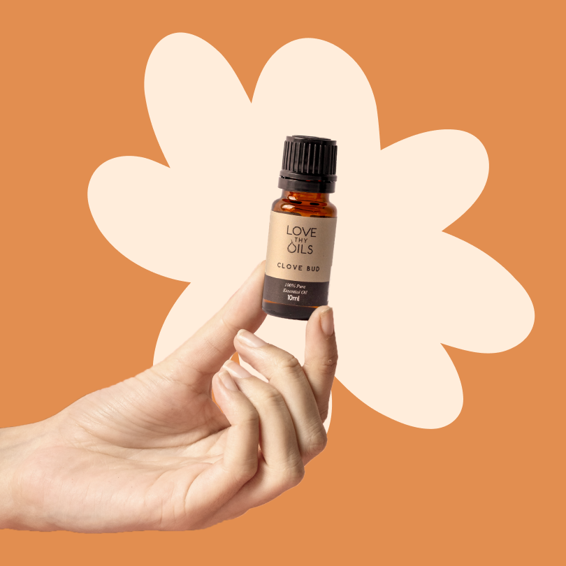 Clove Bud Essential Oil 10ml