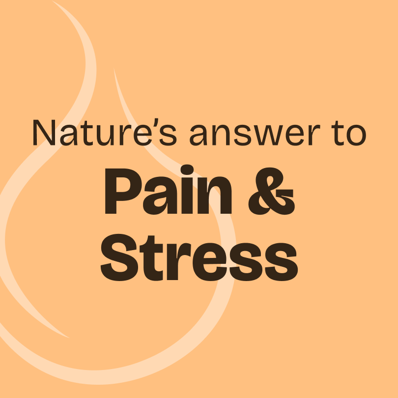 Copaiba Essential Oil 10ml