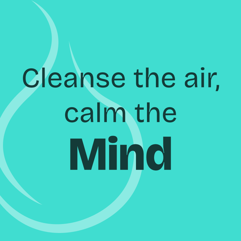 Cypress Essential Oil 10ml