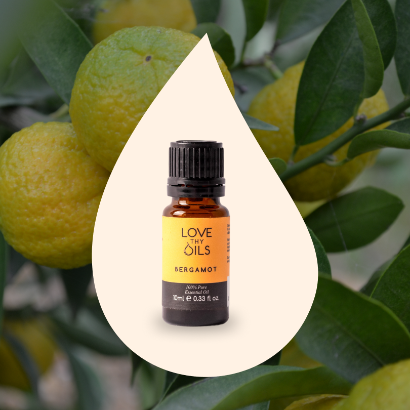 Bergamot Essential Oil 10ml