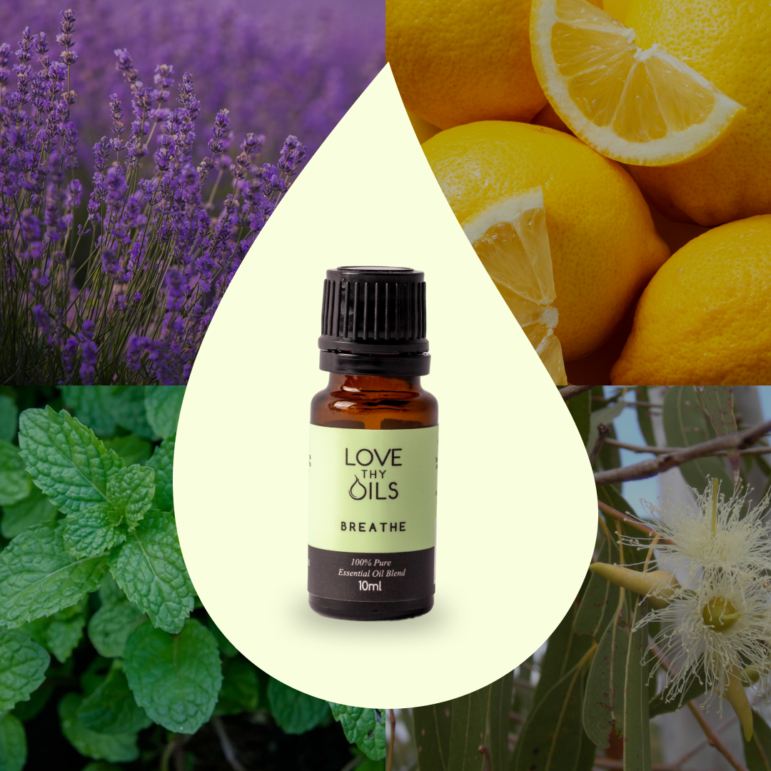 Breathe Essential Oil Blend 10ml