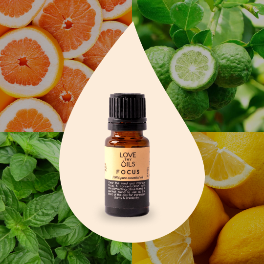 Focus Essential Oil Blend 10ml