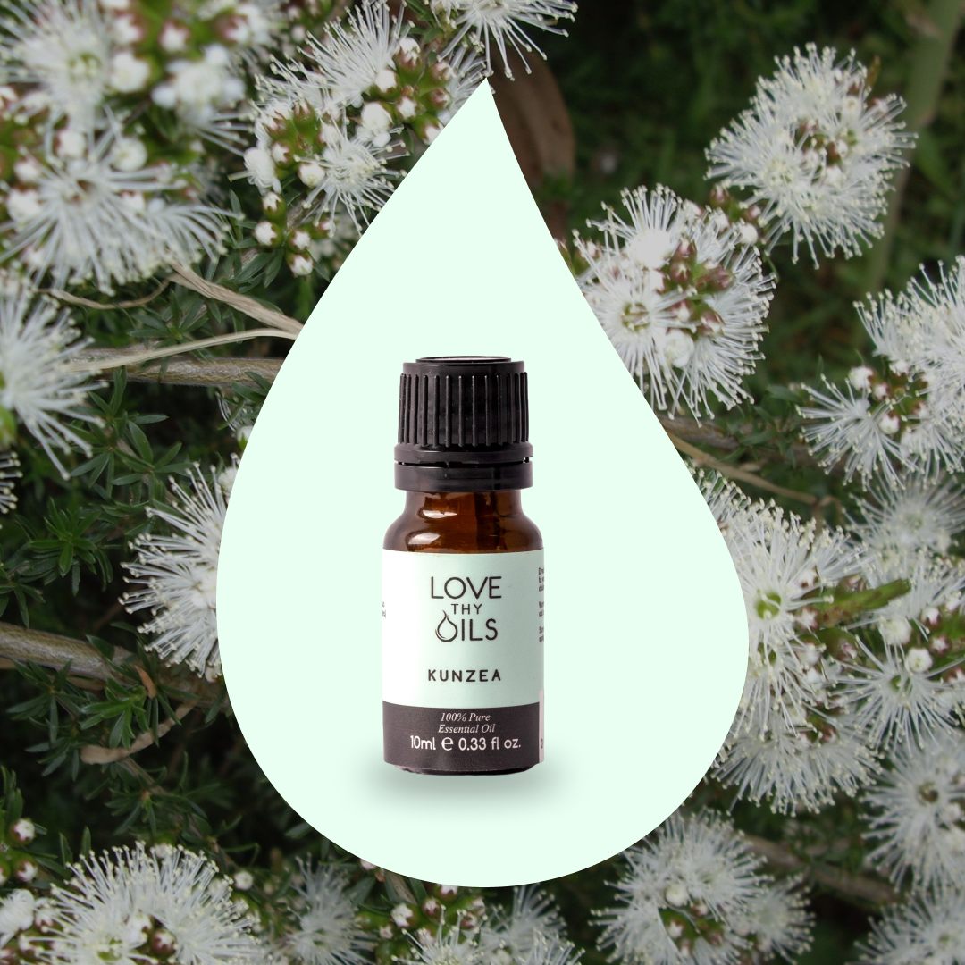 Kunzea Essential Oil 10ml