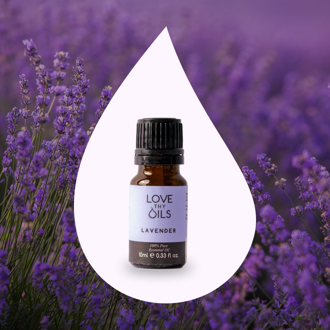 Lavender Essential Oil 10ml