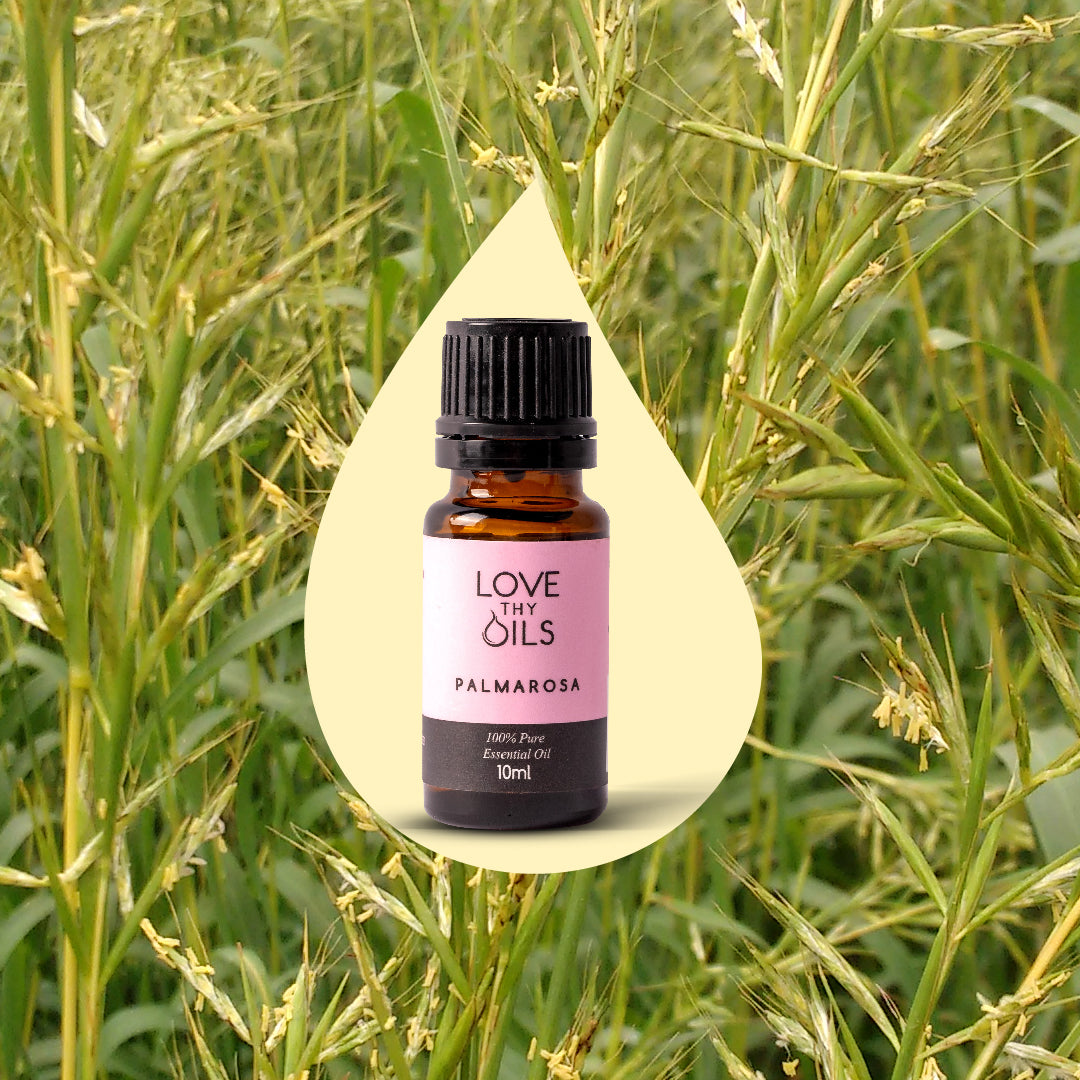 Palmarosa Essential Oil 10ml
