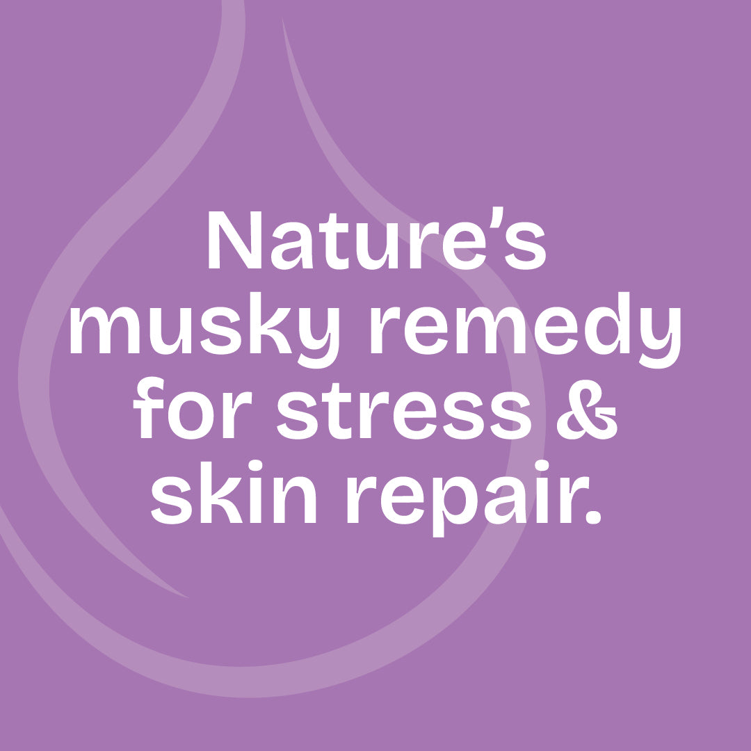 Patchouli Essential Oil 10ml