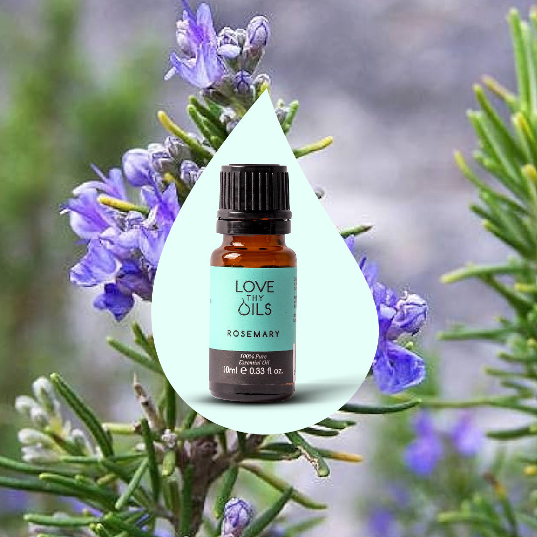 Rosemary Essential Oil 10ml