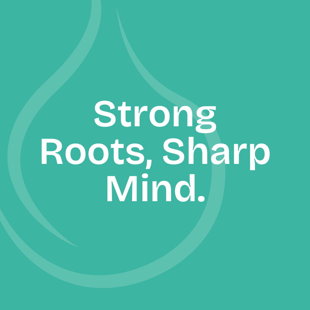 Rosemary Essential Oil 10ml