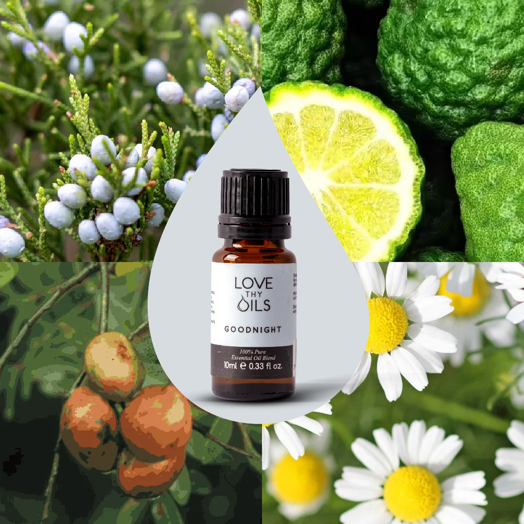 Goodnight Essential Oil Blend 10ml