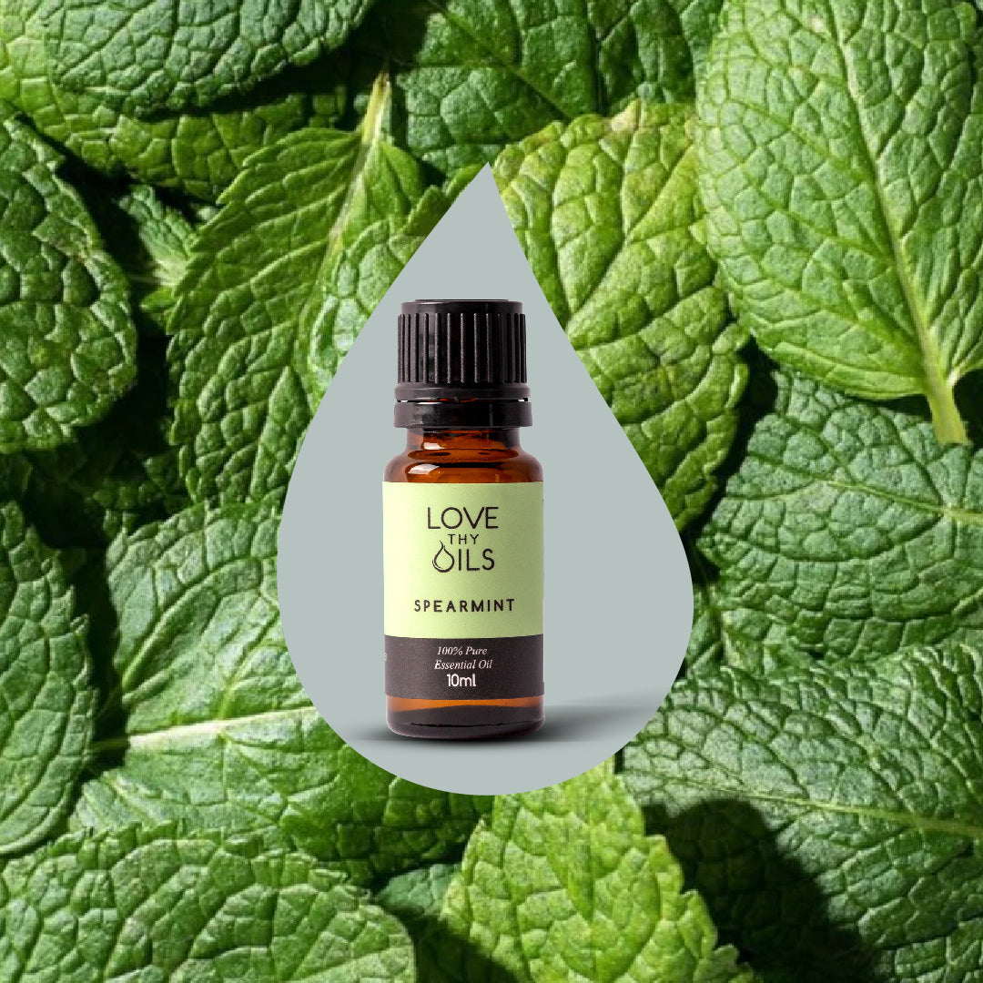 Spearmint Essential Oil 10ml