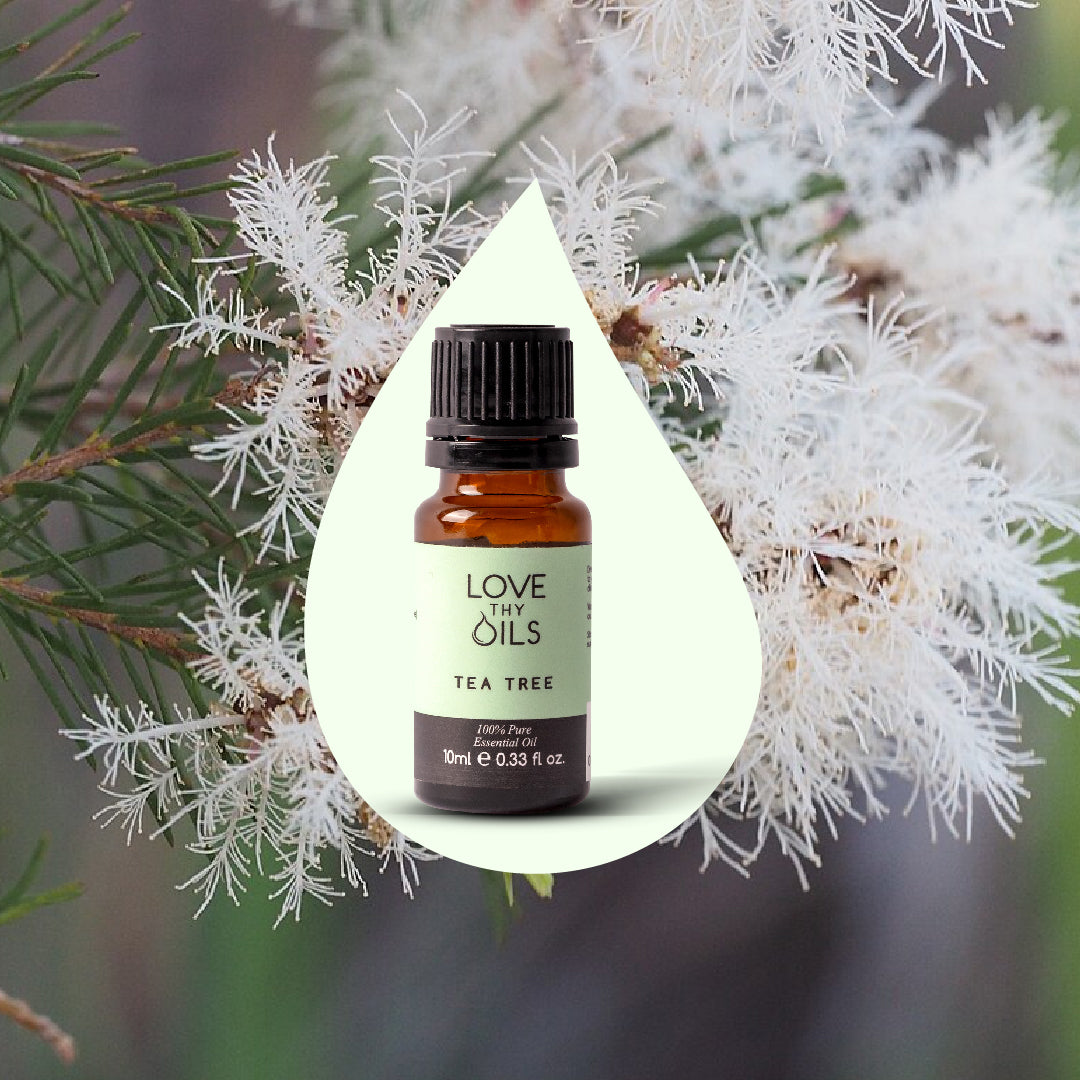 Tea Tree Essential Oil 10ml