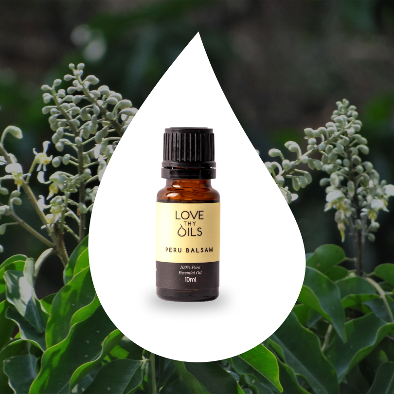 Peru Balsam Essential Oil 10ml
