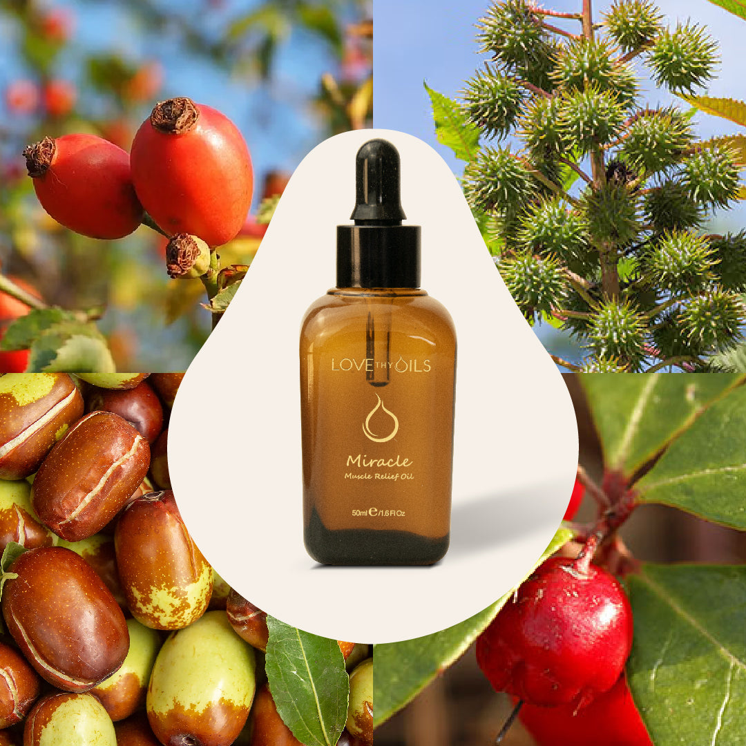 Miracle Muscle Relief Oil