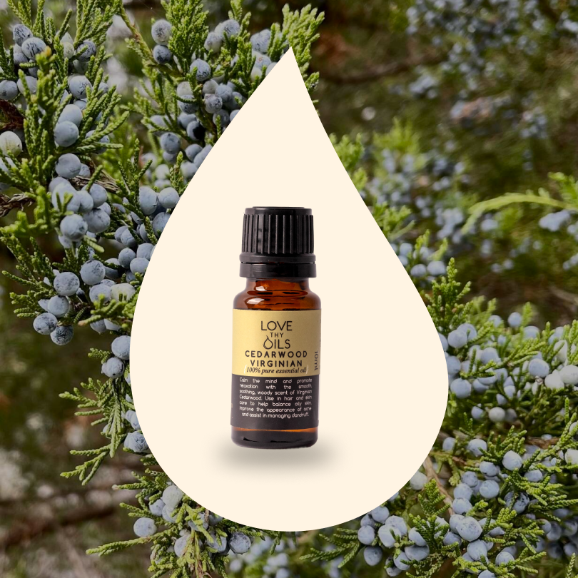 Cedarwood Virginian Essential Oil 10ml