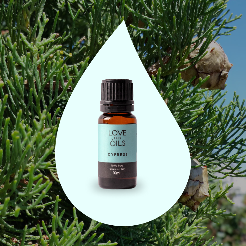 Cypress Essential Oil 10ml