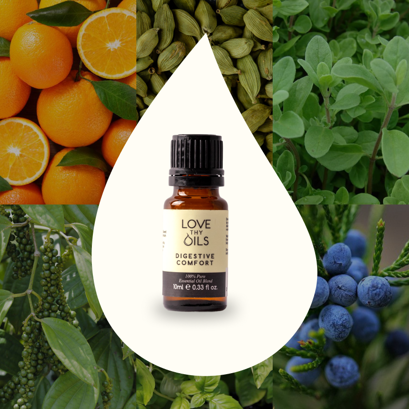 Digestive Comfort Essential Oil Blend 10ml