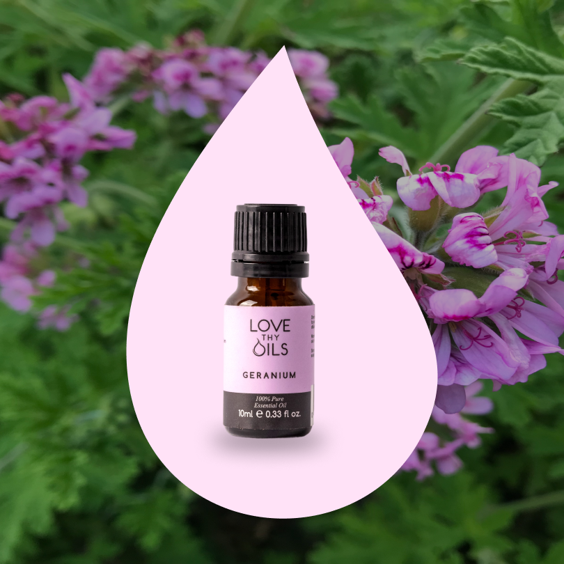 Geranium Essential Oil 10ml