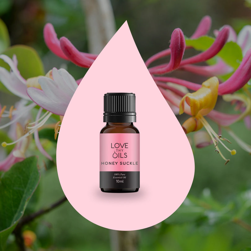 Honeysuckle Essential Oil 10ml