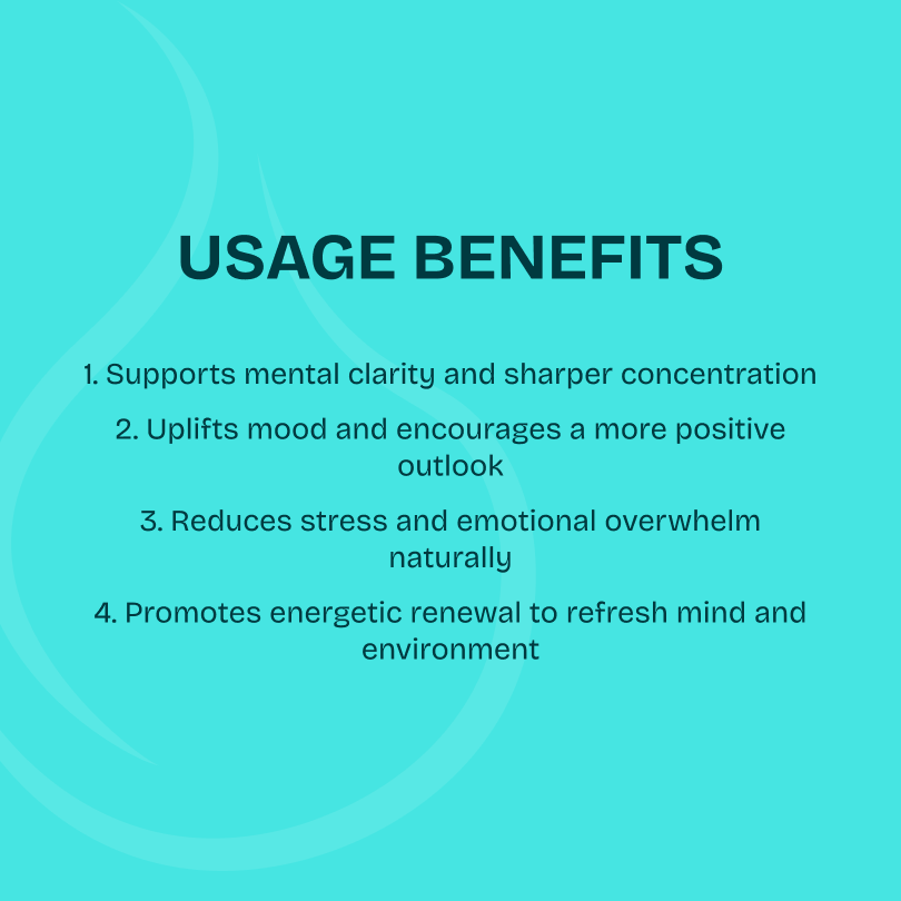 Mindset Mastery Bundle