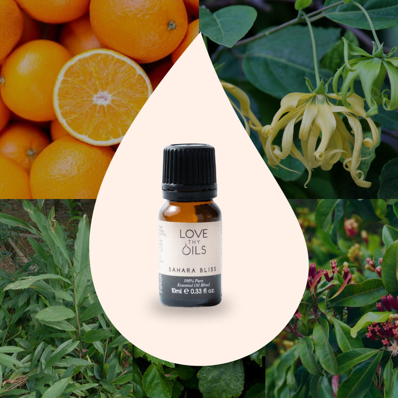 Sahara Bliss Essential Oil Blend 10ml