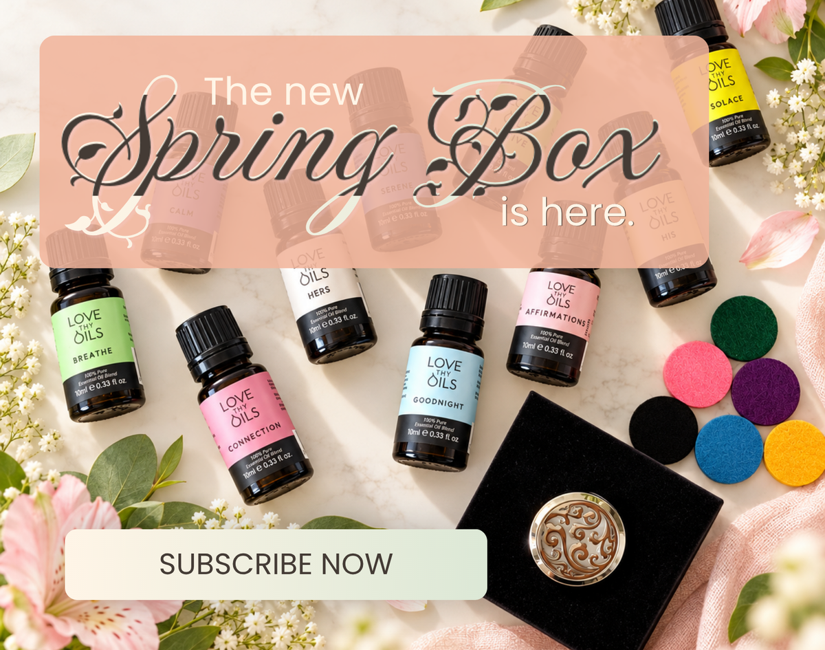 Main promotion