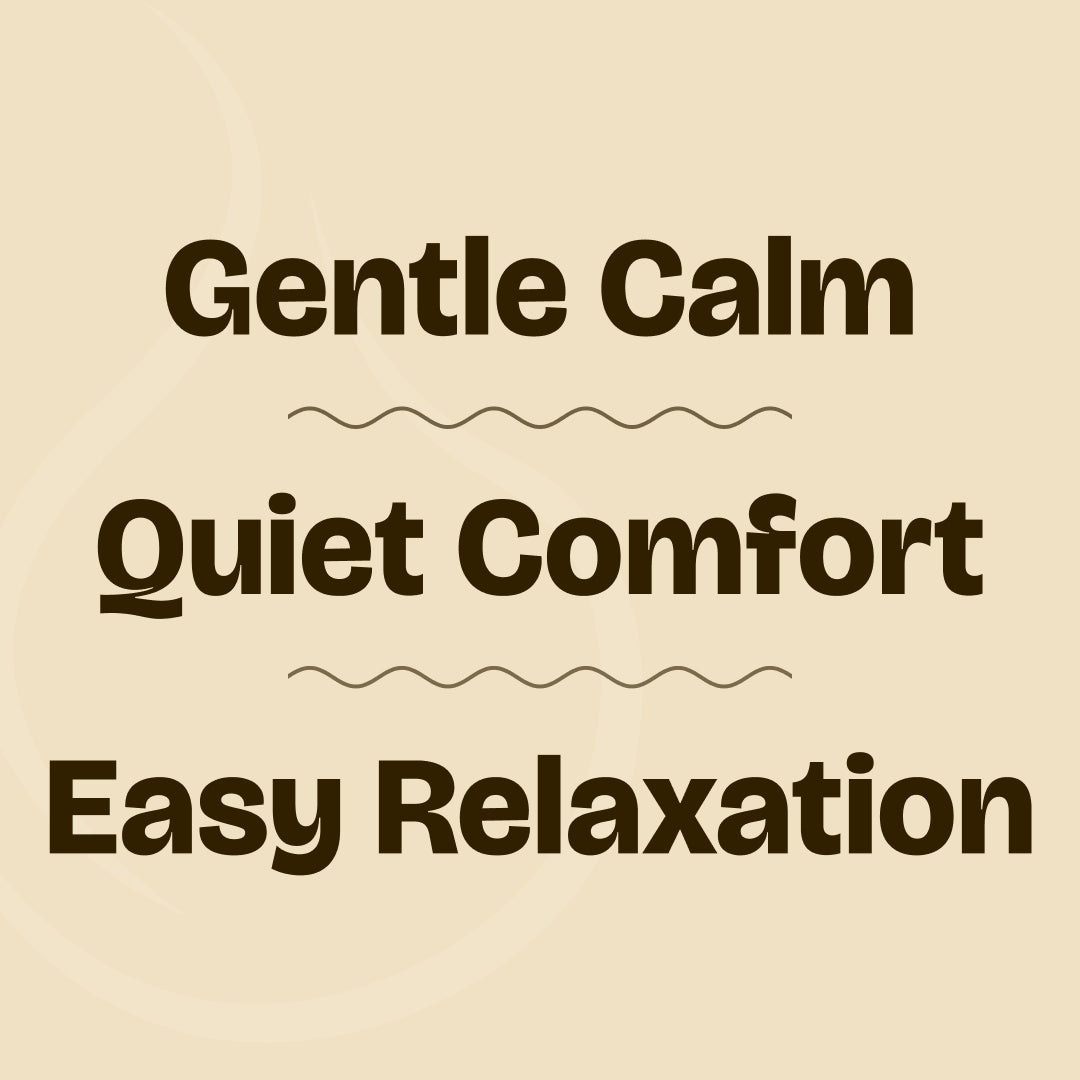 Aroma Buddy Diffuser