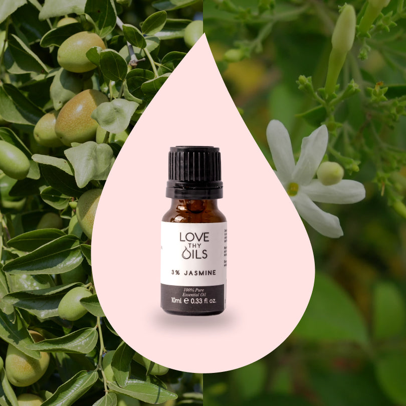Jasmine 3% Essential Oil in Jojoba Oil 10ml