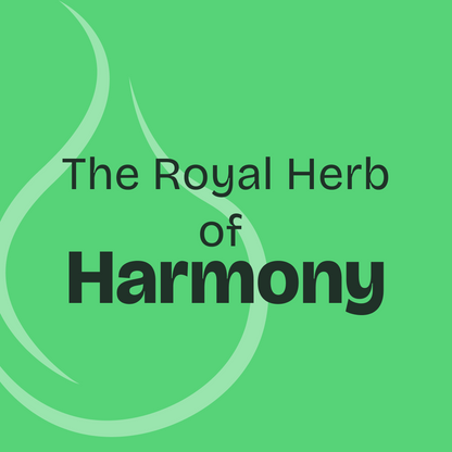 Basil Essential Oil 10ml