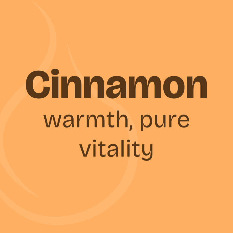 Cinnamon Bark Essential Oil 10ml