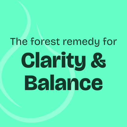 Fir Needle Essential Oil 10ml