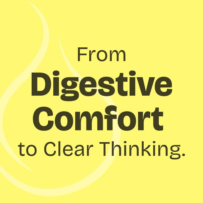 Cardamom Essential Oil 10ml