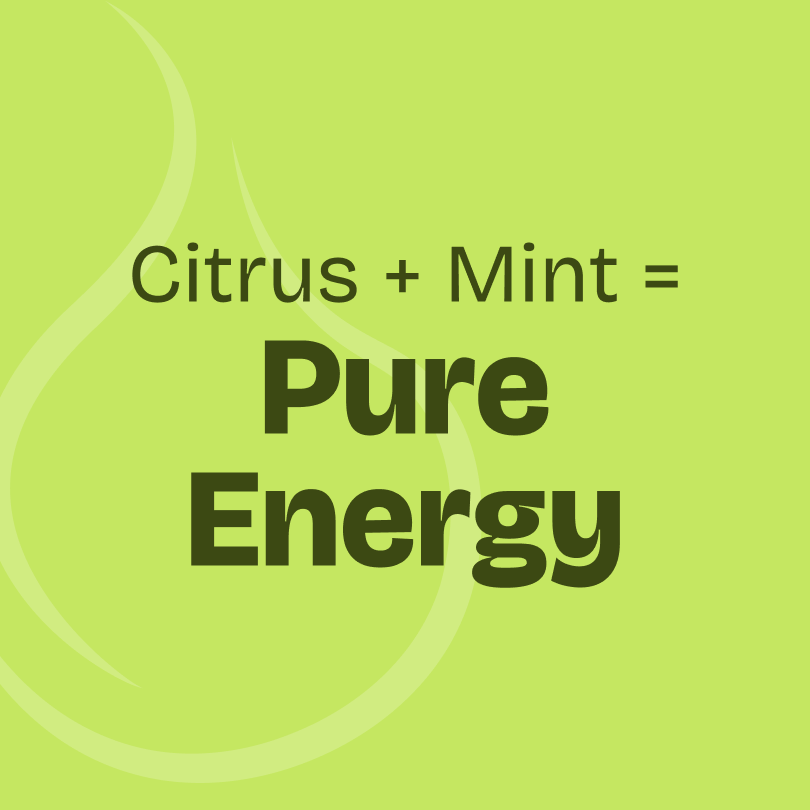 Fresh Essential Oil Blend 10ml