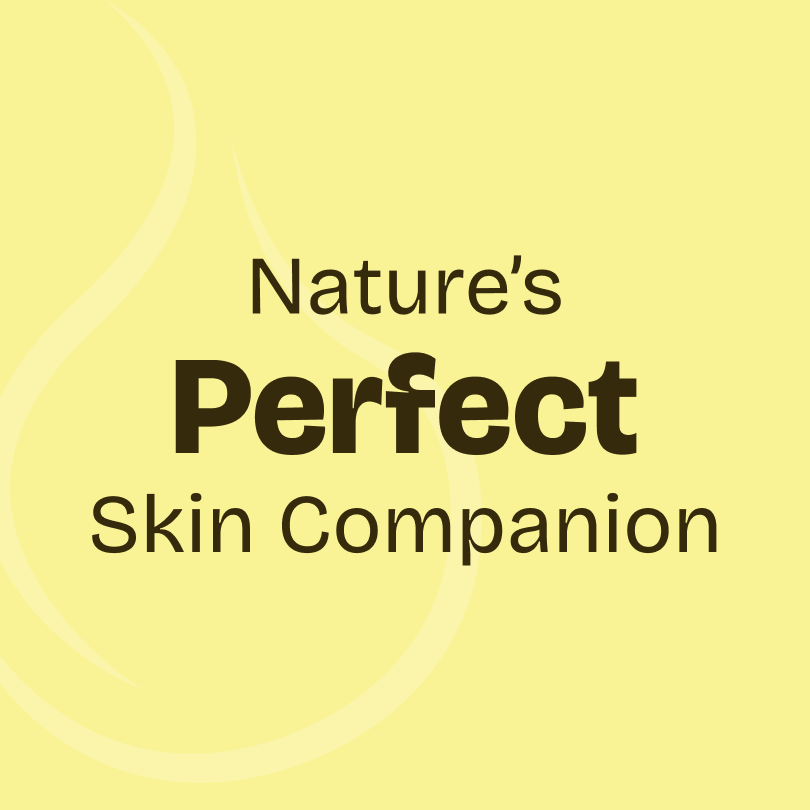 Jojoba Carrier Oil 100ml