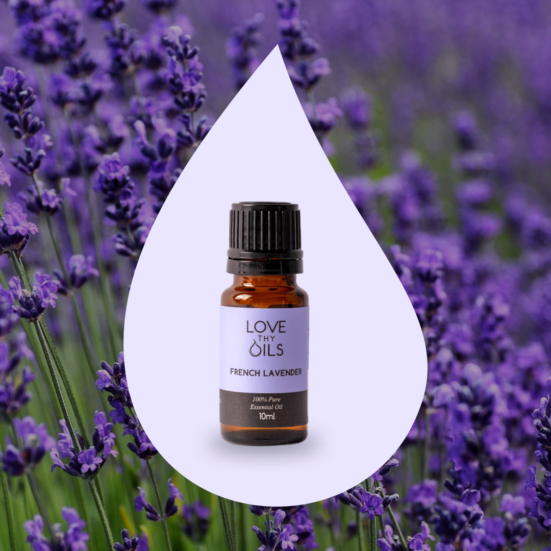 French Lavender Essential Oil 10ml