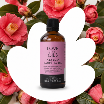 Organic Camellia Carrier Oil 100ml