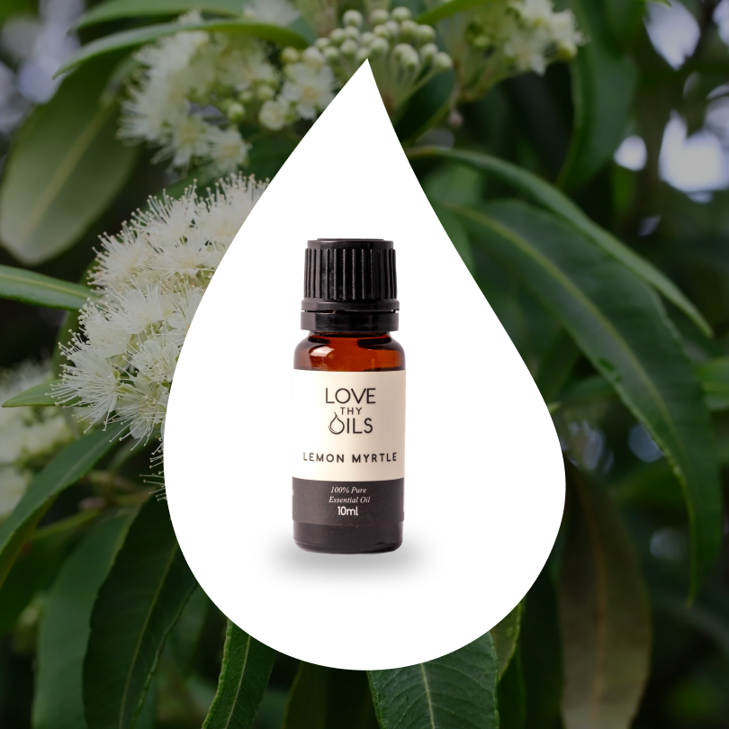 Lemon Myrtle Essential Oil 10ml