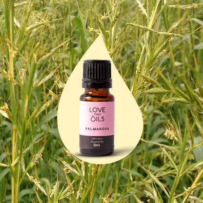Palmarosa Essential Oil 10ml