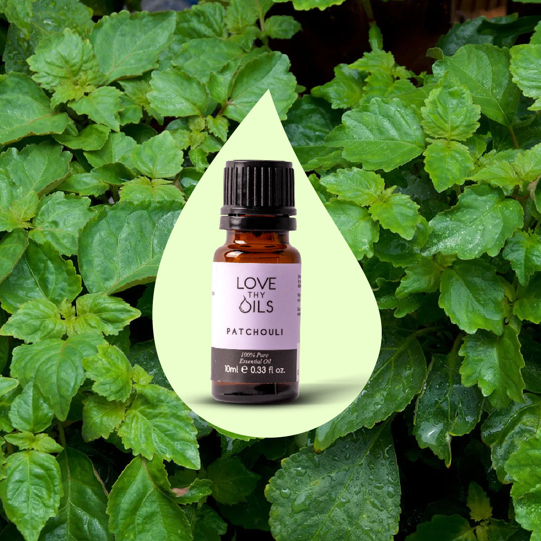 Patchouli Essential Oil 10ml