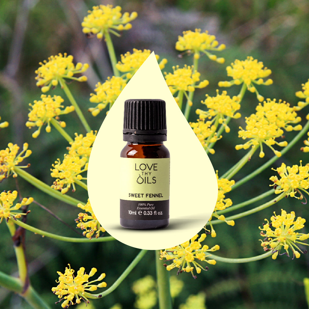 Sweet Fennel Essential Oil 10ml