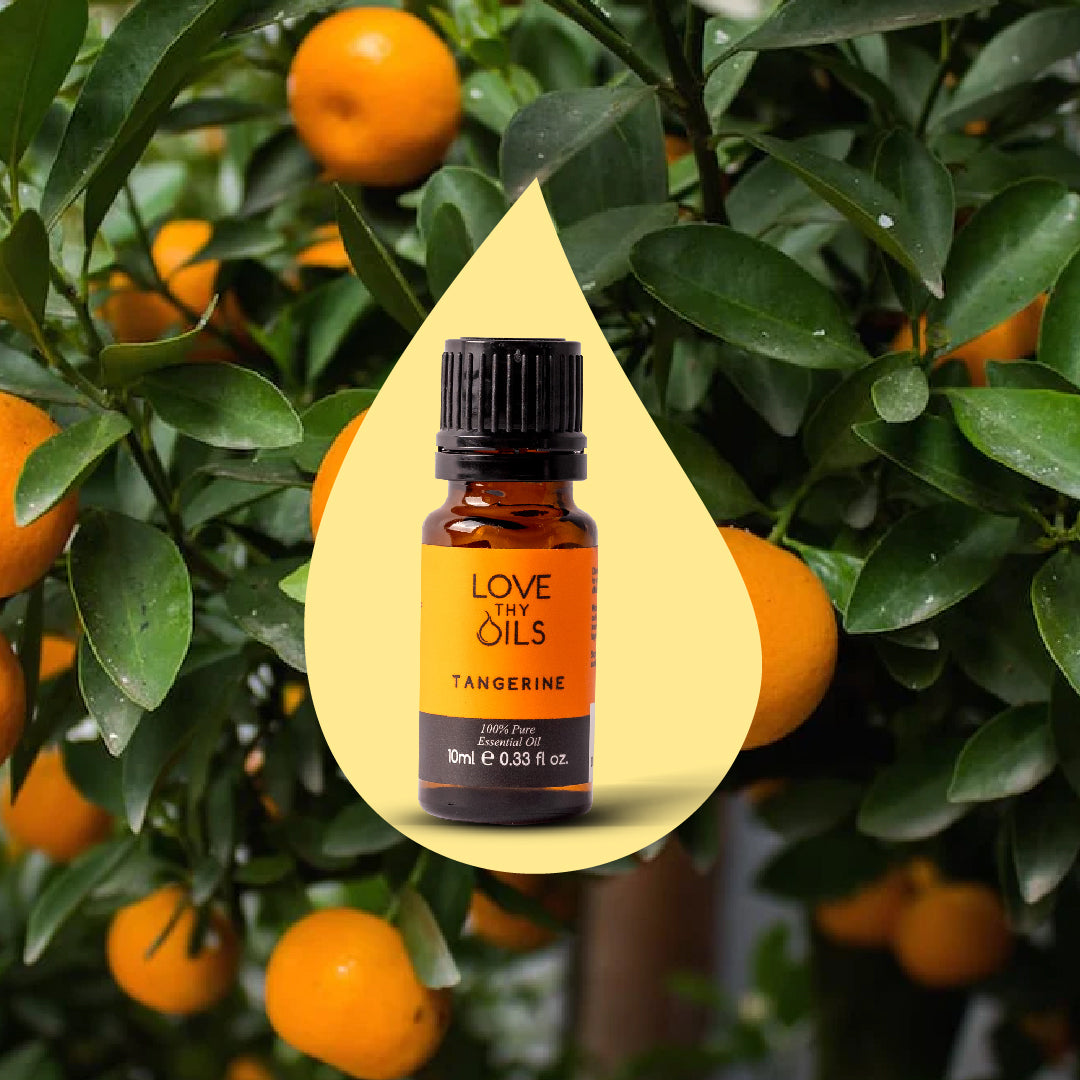 Tangerine Essential Oil 10ml