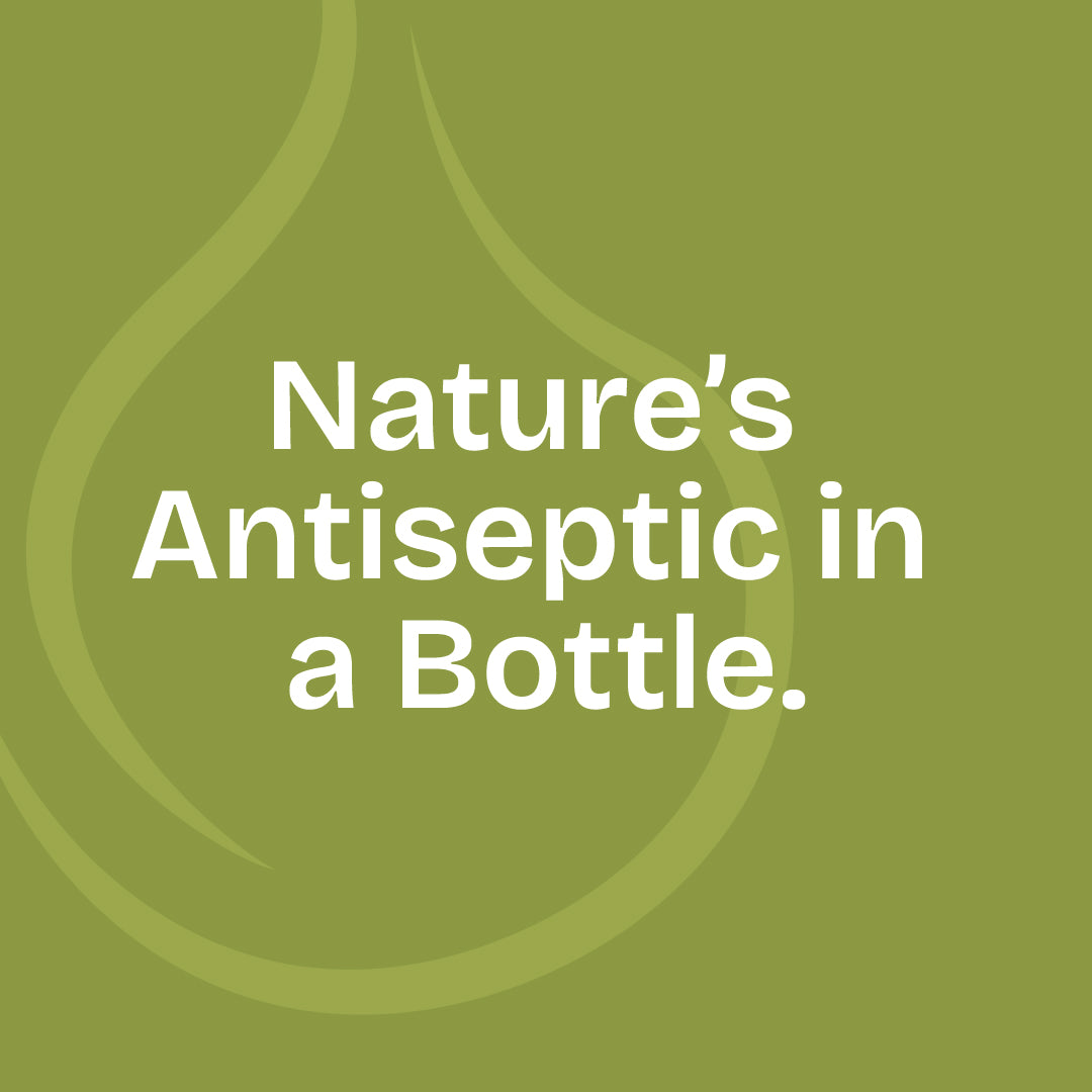 Tea Tree Essential Oil 10ml