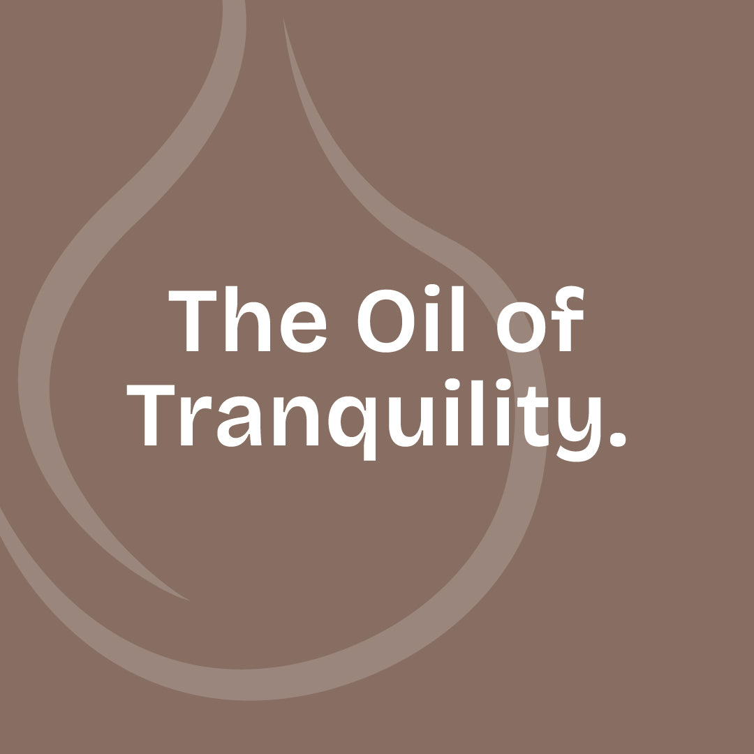 Vetiver Essential Oil 10ml