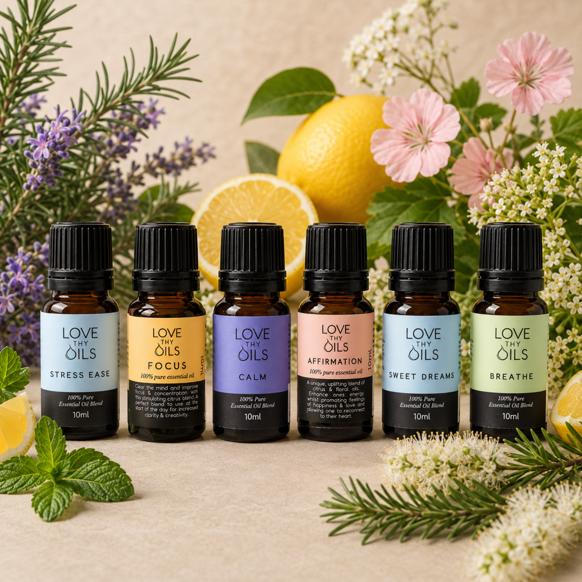 Pack of 6 Essential Oil Blends