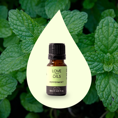 Peppermint Essential Oil 10ml