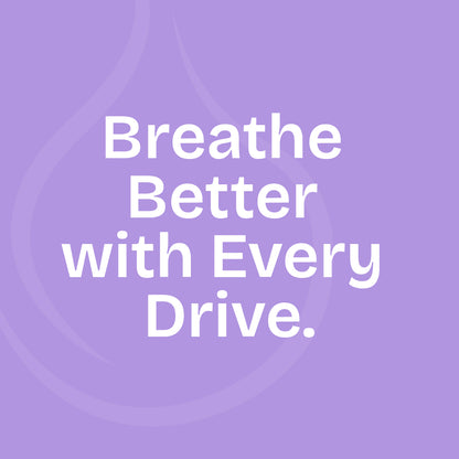 Flourish - Aromatherapy Car Vent Diffuser Locket