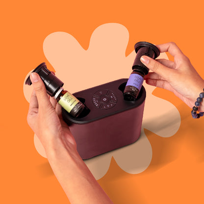 Dual Nozzle Aroma Diffuser