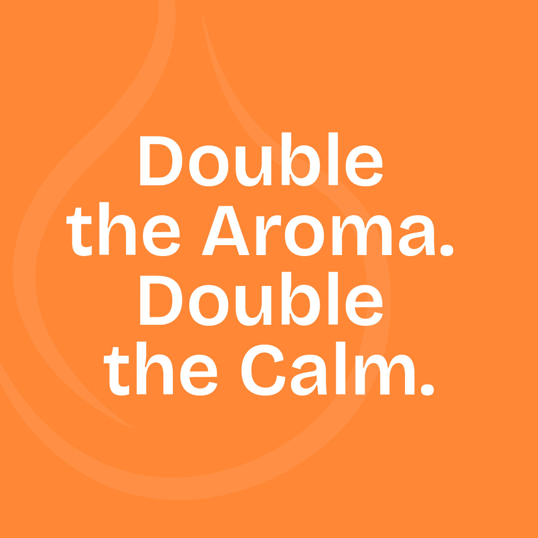 Dual Nozzle Aroma Diffuser